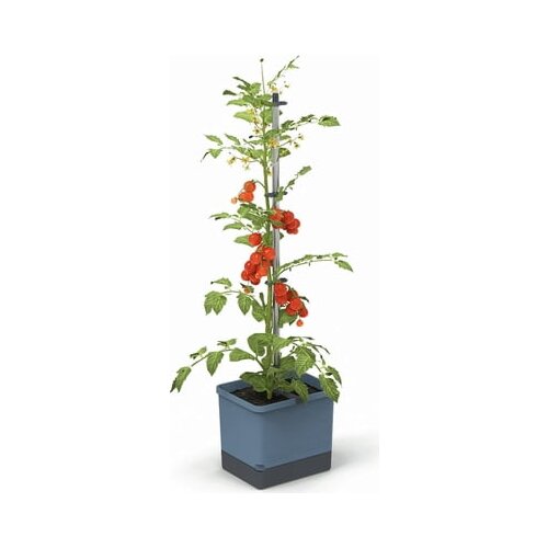 Gusta Garden Komplet rastlinskih loncev TOM TOMATO - modra Slike