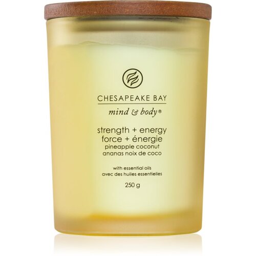 Chesapeake Bay Candle Mind & Body Strength & Energy mirisna svijeća 250 g Cene