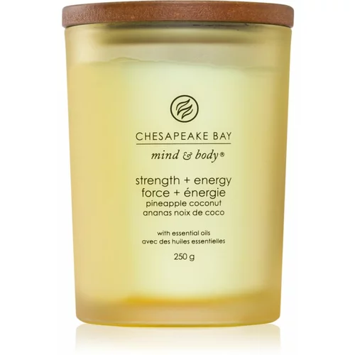 Chesapeake Bay Candle Mind & Body Strength & Energy mirisna svijeća 250 g