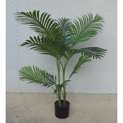 Lilium dekorativna palma 110cm 567332 Slike