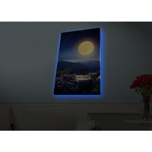 Wallity Slika sa LED osvetljenjem 4570HDACT-072, 45x70 cm Cene