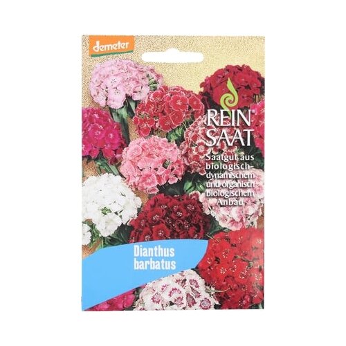 ReinSaat Turški nagelj '' Dianthus barbatus '' Cene