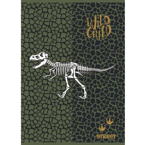 STREET Zvezek Dinosaurs A4 karo Slike