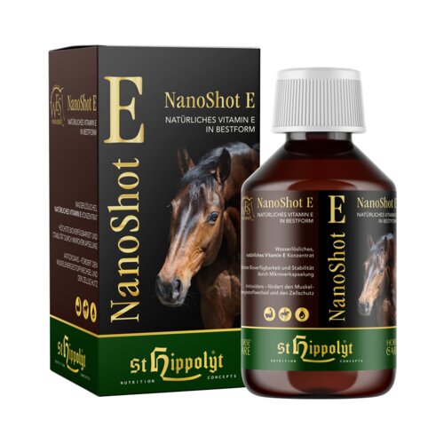  WES Nanoshot E Cene