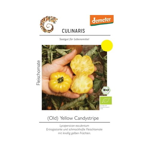 Culinaris Bio mesnat paradižnik Old Yellow Candystripe Cene