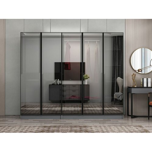 Hanah home ormar sa reflektujućim staklom Nisa 20629, 225 cm, antracit Cene