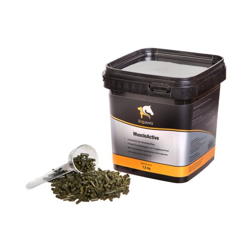 Equanis MuscleActive Cene