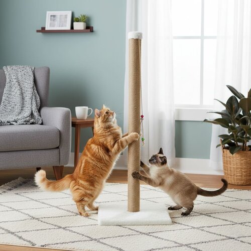 Paws & Whiskers grebalica za mačke aero, bela Cene