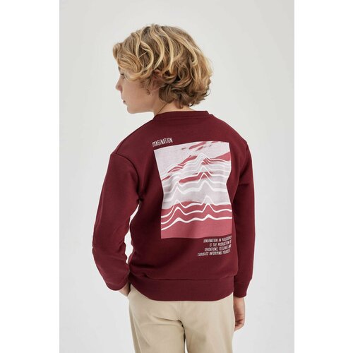 Defacto Boy Crew Neck Thick Fabric Sweatshirt Slike
