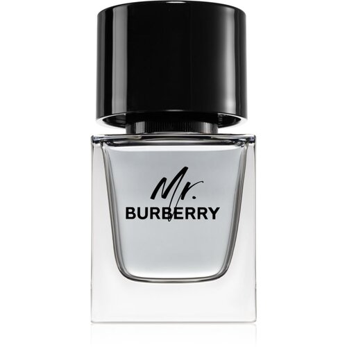 Burberry Mr. toaletna voda za moške 50 ml Cene