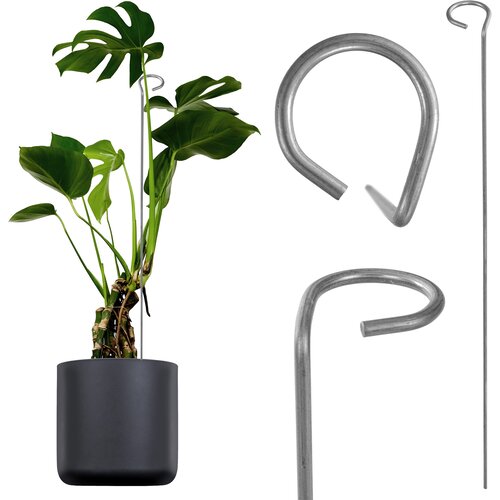KADAX kovinska opora za rastline, rože, vrtnice, opora za rože z očescem, 60 cm, (5000362680) Slike