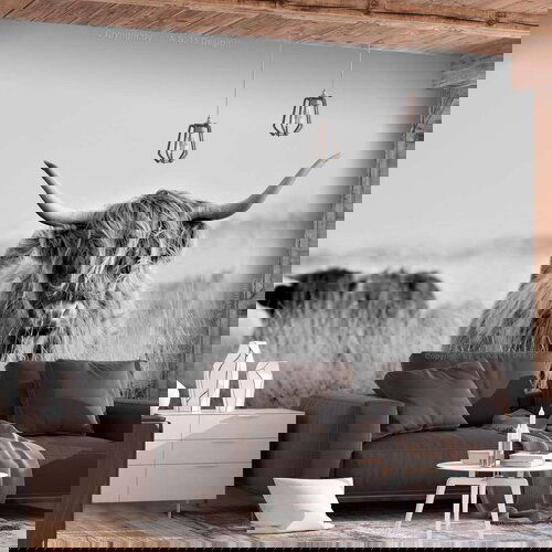  Samoljepljiva foto tapeta - Highland Cattle 147x105 Cijene
