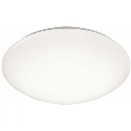 Tri O Bijela LED okrugla stropna svjetiljka Putz, promjer 40 cm