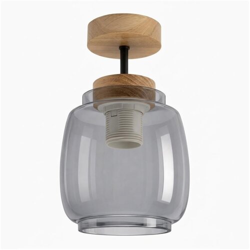 Brilagi LED Nadgradni plafonski luster R GLASS 1xE27/60W/230V prečnik 26 cm hrast/zadimljena siva Cene
