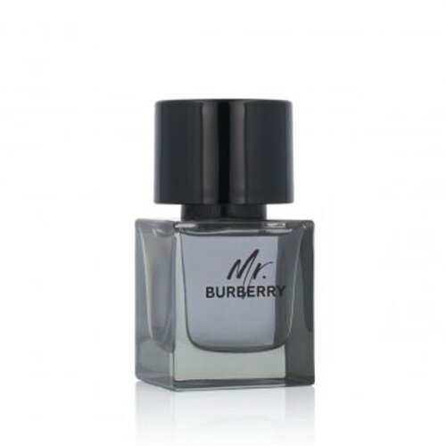 Burberry Mr. 50 ml toaletna voda za mo&amp;scaron;ke Slike