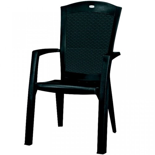 Allibert Baštenska stolica Minesota grafit Cene