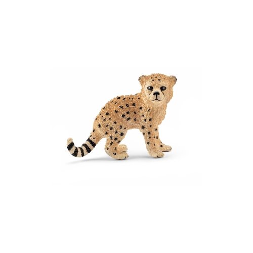Gepard mladunce Cene