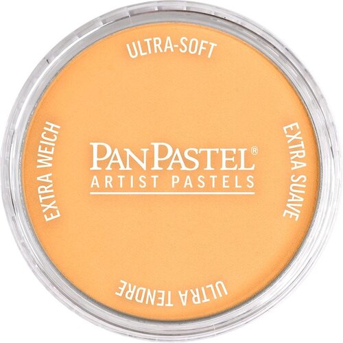 Artmie PanPastel Pearl Dry Pastel 9 ml | Razne nijanse Cijene