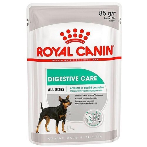 Royal Canin CCN Digestive Care Wet - 12 x 85 g Cene