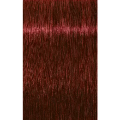 Schwarzkopf IGORA Royal boja za kosu nijansa 5-88 Light Brown Red Extra 60 ml