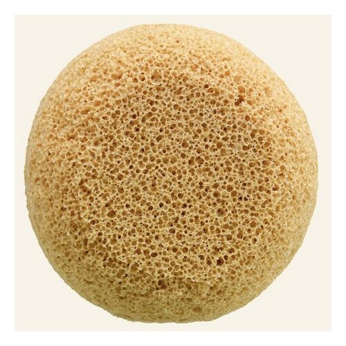 The Body Shop drench sponge