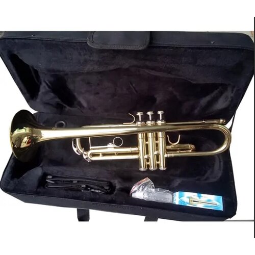 Moller Truba TP-807 Cene