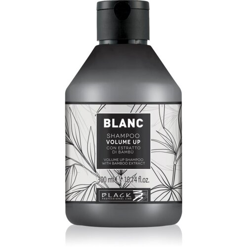 Black Professional Line Line Volume Up Shampoo &scaron;ampon za volumen za nježnu kosu 300 ml Cijene