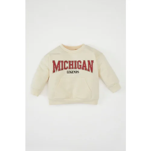 Defacto Baby Boy Crew Neck Printed Sweatshirt