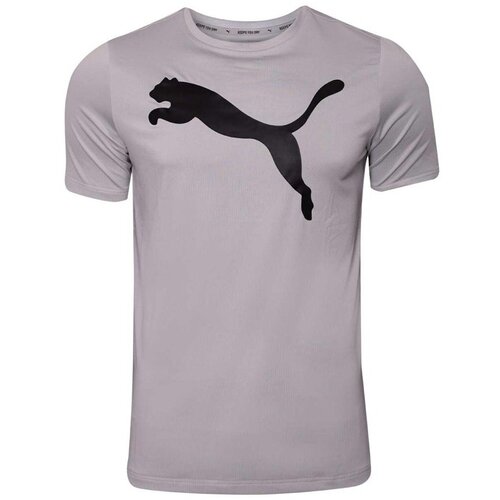 Puma Active Big Logo Tee Ljubičasta Slike