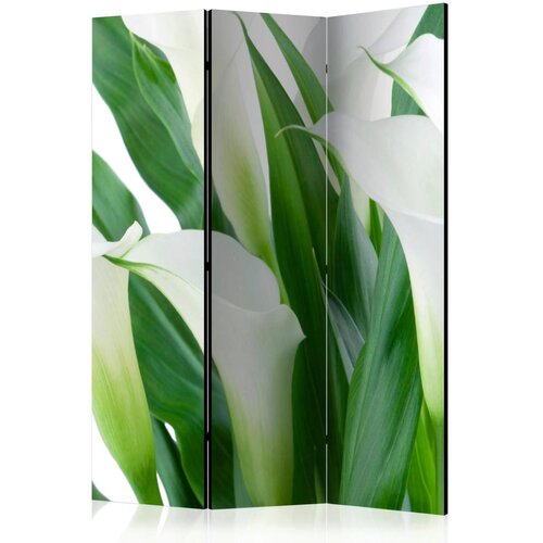 Artgeist PARAVAN 135/172/3 cm zelena, bela Cene
