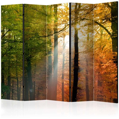  Paravan u 5 dijelova - Forest Colours II [Room Dividers] 225x172 Slike