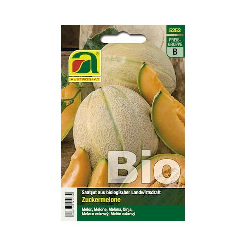 BIO melone Charentais Cene