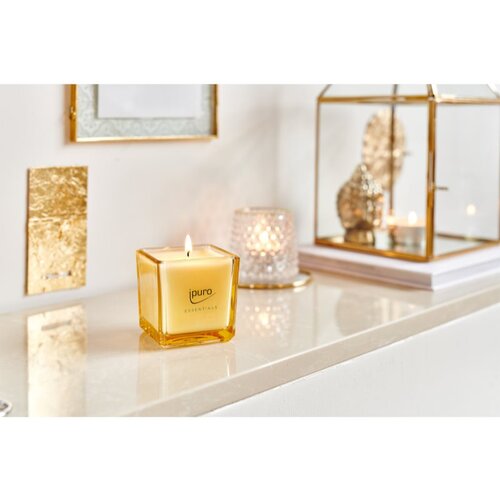 IPURO Dišeča sveča Ipuro ESSENTIALS Soft Vanilla (125 g) Cene