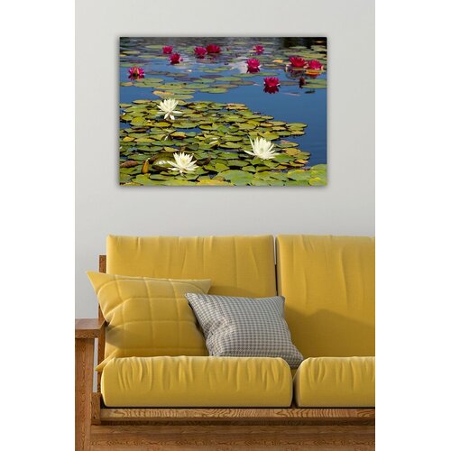 Wallity Slika 154086938, 50x70 cm Cene