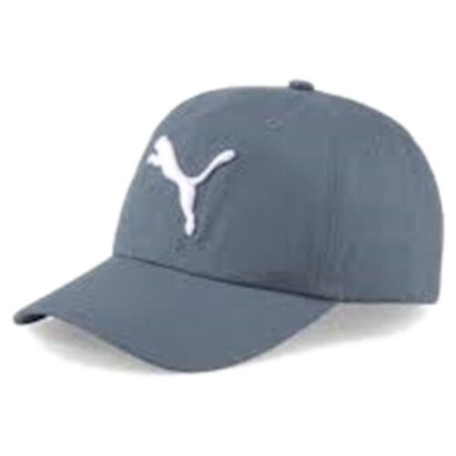 Puma Ess Cap Siva Slike