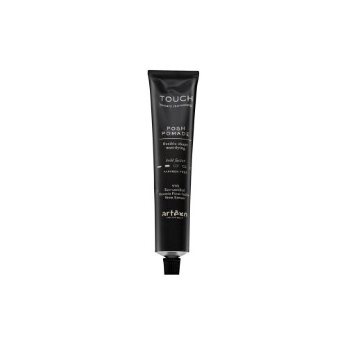 Artègo Touch Posh Pomade Flexible Shape Mattifying pomada za lase za mat učinek 100 ml Cene