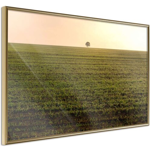  Poster - Farmland 45x30 Cijene
