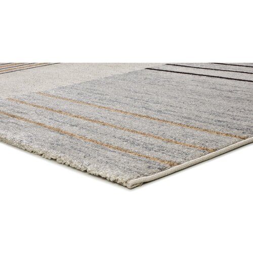 Universal Sivi/bež tepih 80x150 cm Craft &amp;ndash; Slike