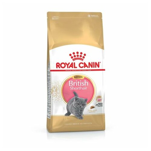 Royal Canin hrana za britanske kratkodlake mačiće (british shorthair kitten) 400gr Slike
