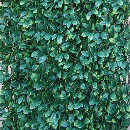 Tenax sintetična živa meja divy 3D x-tens osmanthus 1 m x 2 m zelena Cene