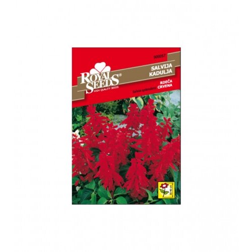 ROYAL SEEDS Sjeme kadulja crvena 208-02607 Slike