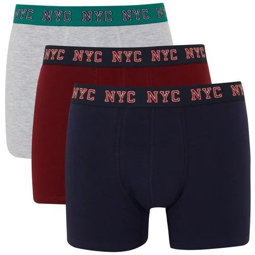 Defacto Regular Fit 3-Pack Boxer