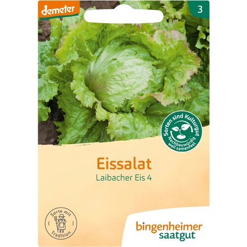 Bingenheimer Saatgut Solata ledenka - Laibacher Eis 4 - 1 pkt. Cene