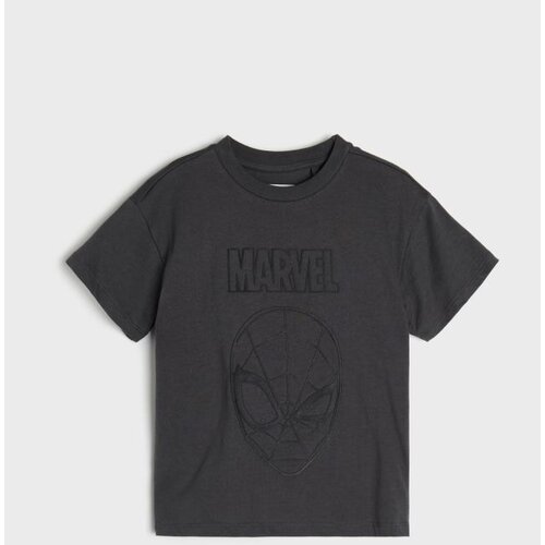 Sinsay Pamučna loose majica s printom Spider-Man Cijene
