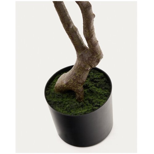 Kave Home Umetna rastlina (vi&amp;scaron;ina 180 cm) Pachira &amp;ndash; Slike