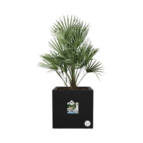 ELHO Korito za rastline vivo next quadrat - 30 cm - Črna Cene