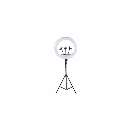 Selfie LED Ring light 45cm Profesional sa tripodom 200cm Cene
