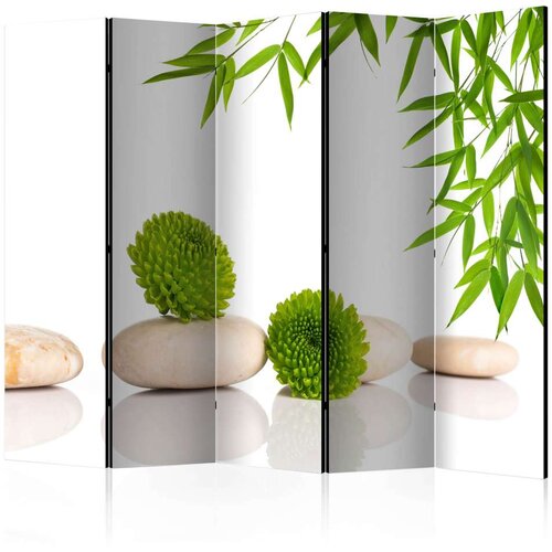  Paravan u 5 dijelova - Green Relax II [Room Dividers] 225x172 Cijene