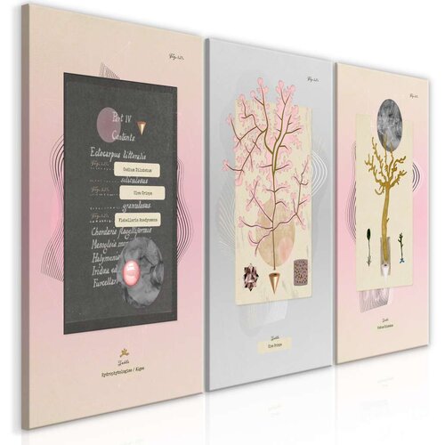  Slika - Unusual Plants (3 Parts) 120x60 Slike