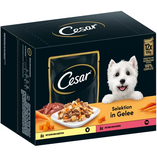 Cesar Selection meso i povrće u želeu - 24 x 100 g